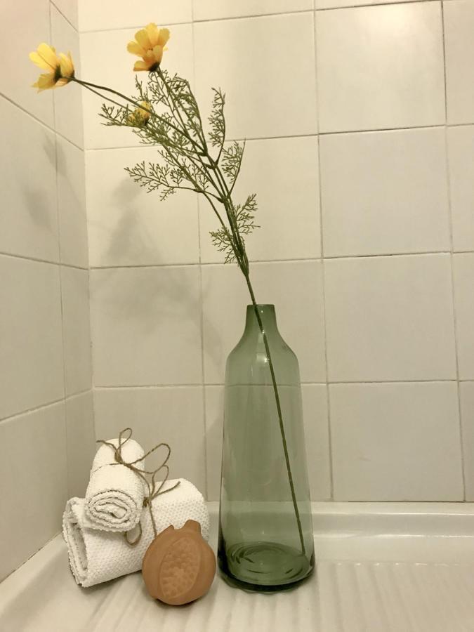 Cedro 28 Apartment 로마 외부 사진